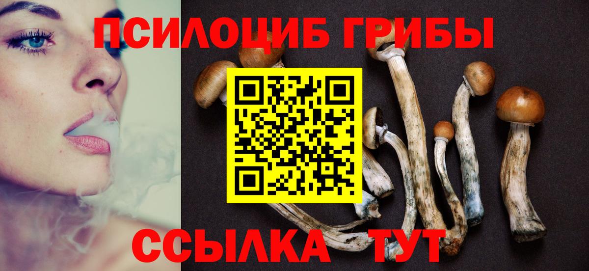 Стерлитамак  Псилоцибиновые грибы мицелий  Псилоцибиновые грибы мухоморы  Вход с VPN 